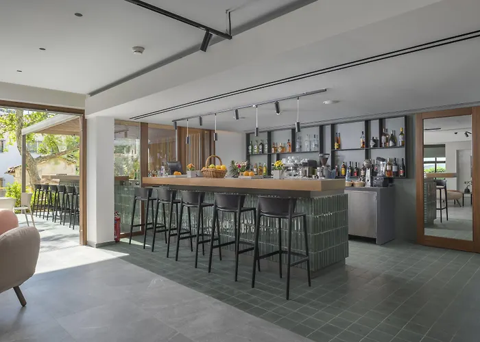 Alkyon Hotell Skiathos stad